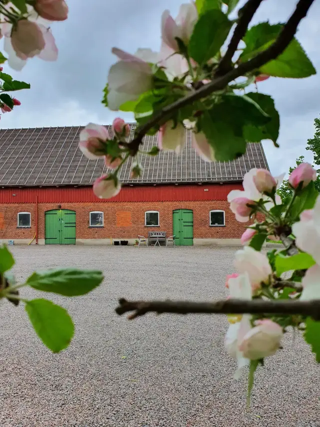 Hyreslägenhet på Olma Gård i Svalöv