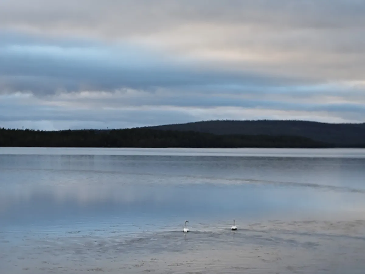 Tårrajaur  i Jokkmokk