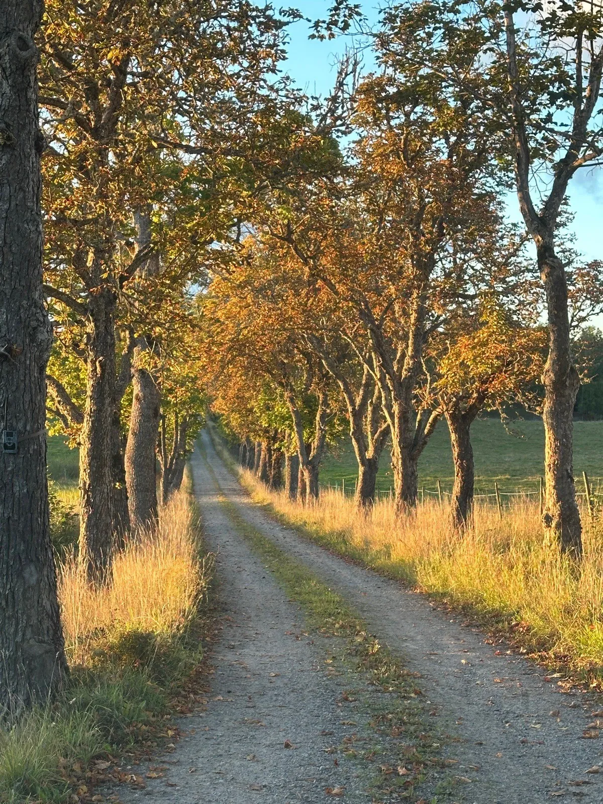 Mjölnarbostaden, Mälby säteri i Flen