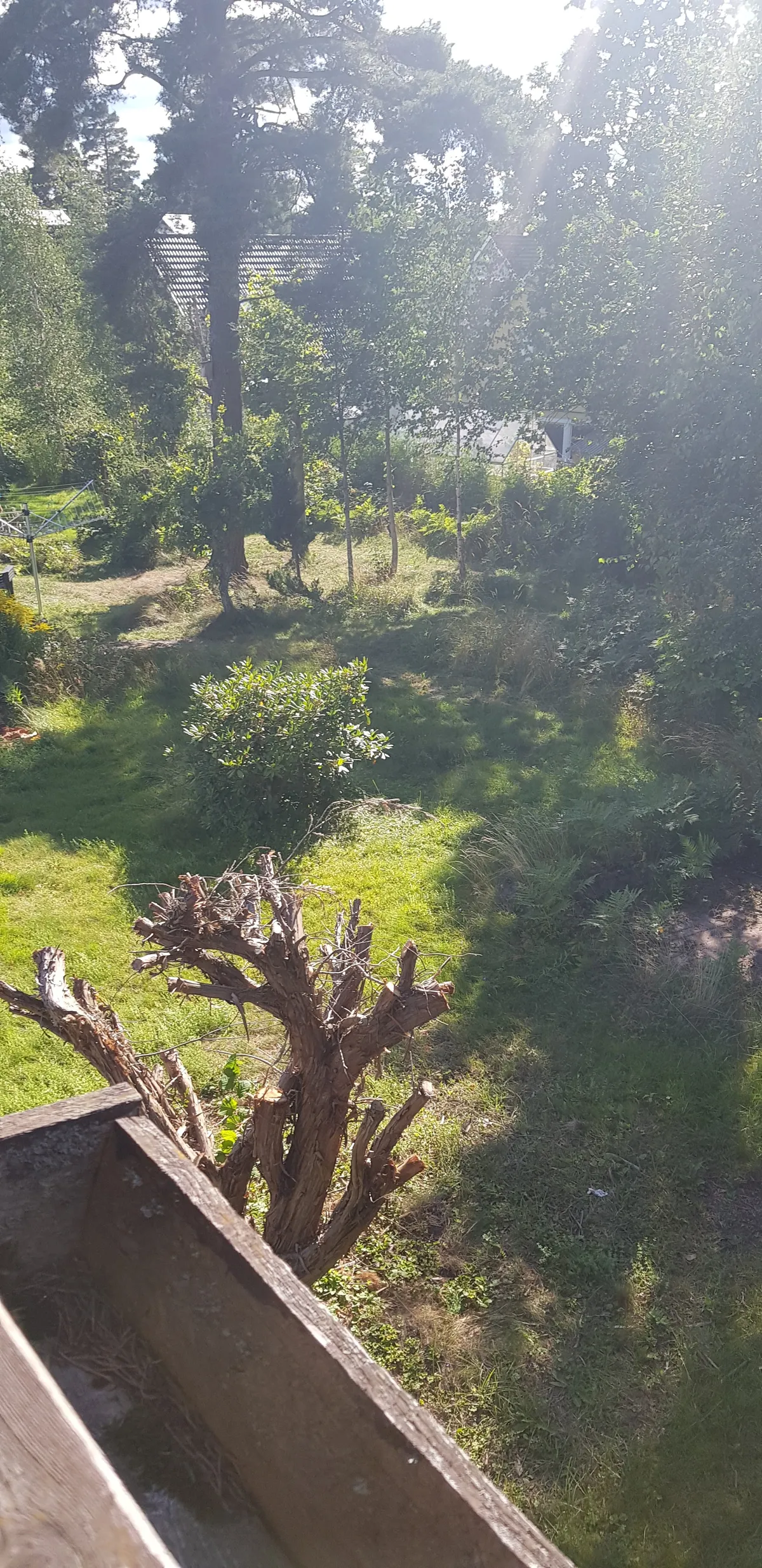 Property image 79