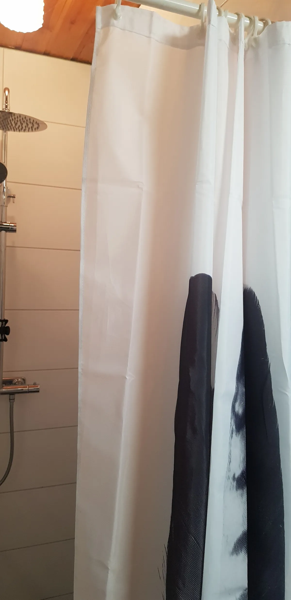 Property image 90