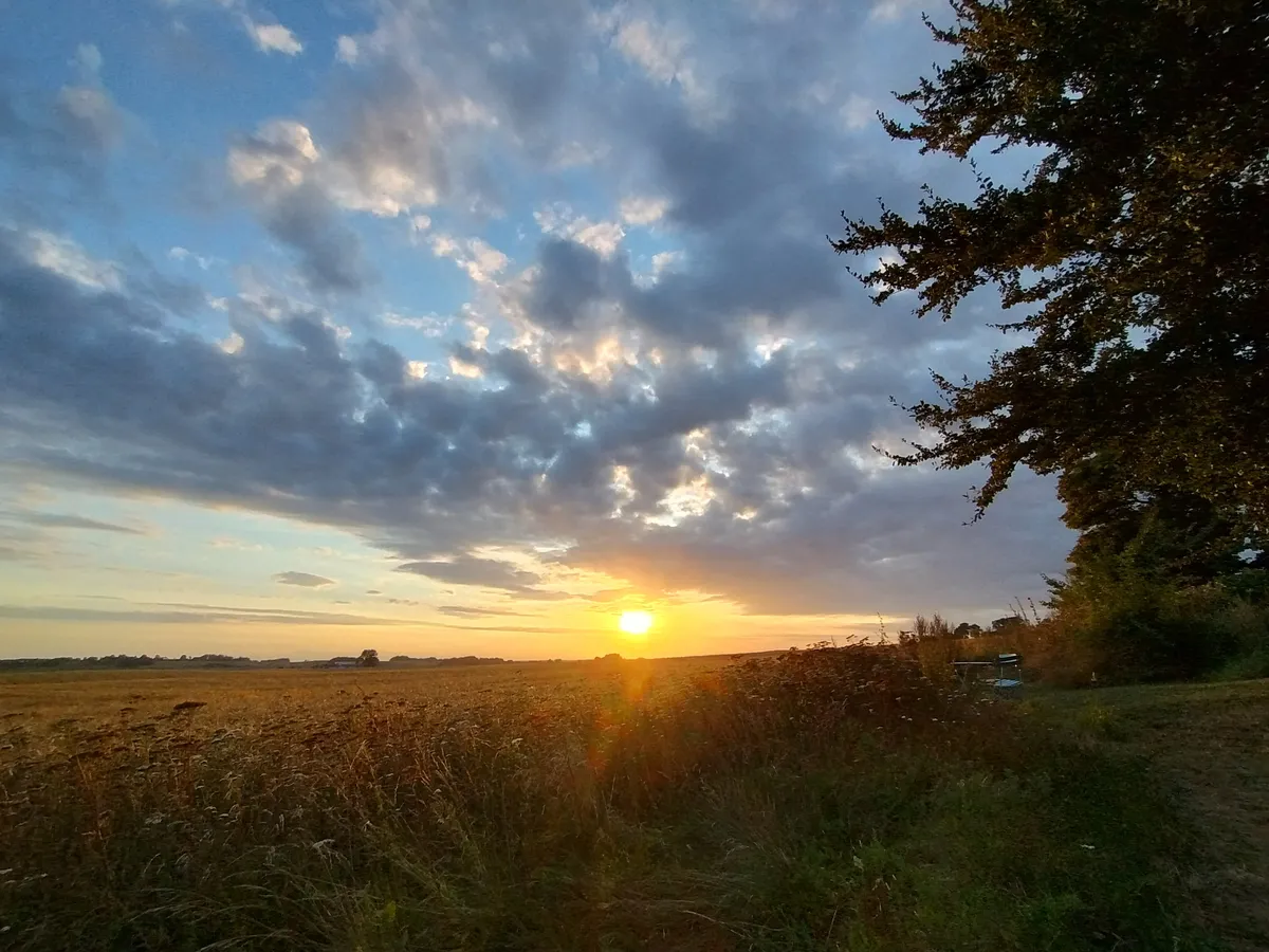 Glemmingevägen i Glemmingebro