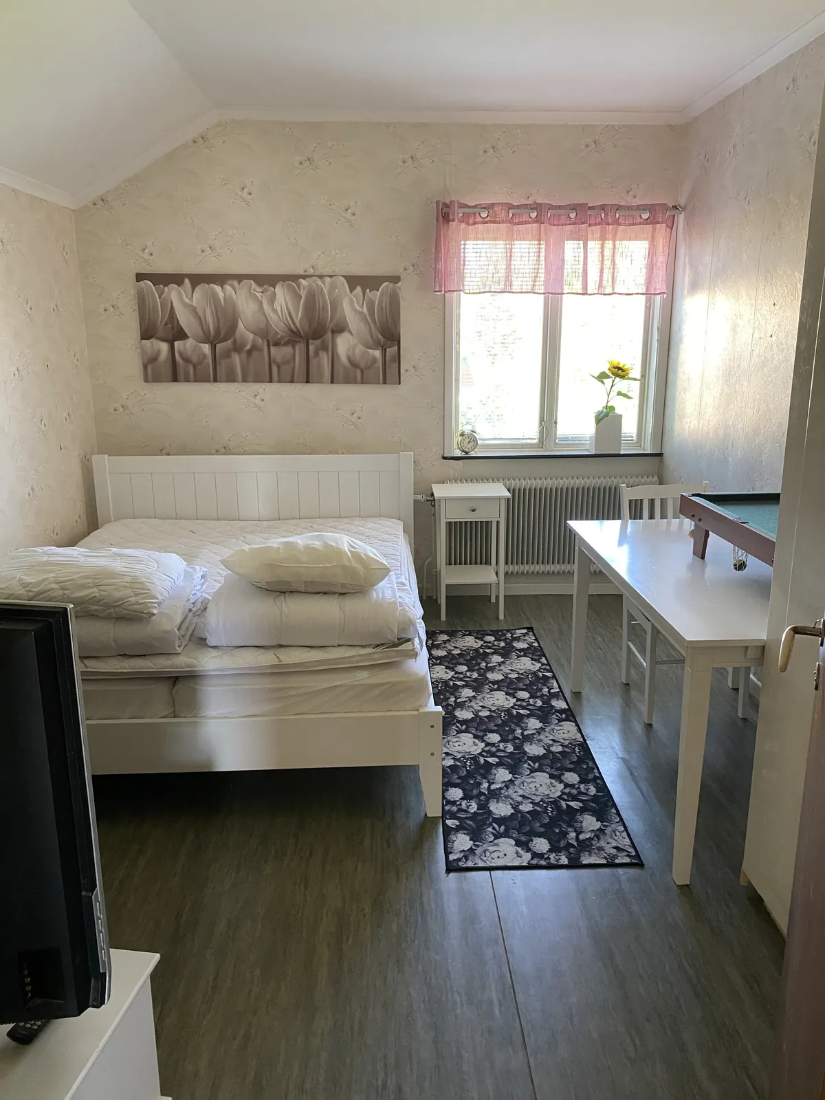 Storsjövägen i Skog