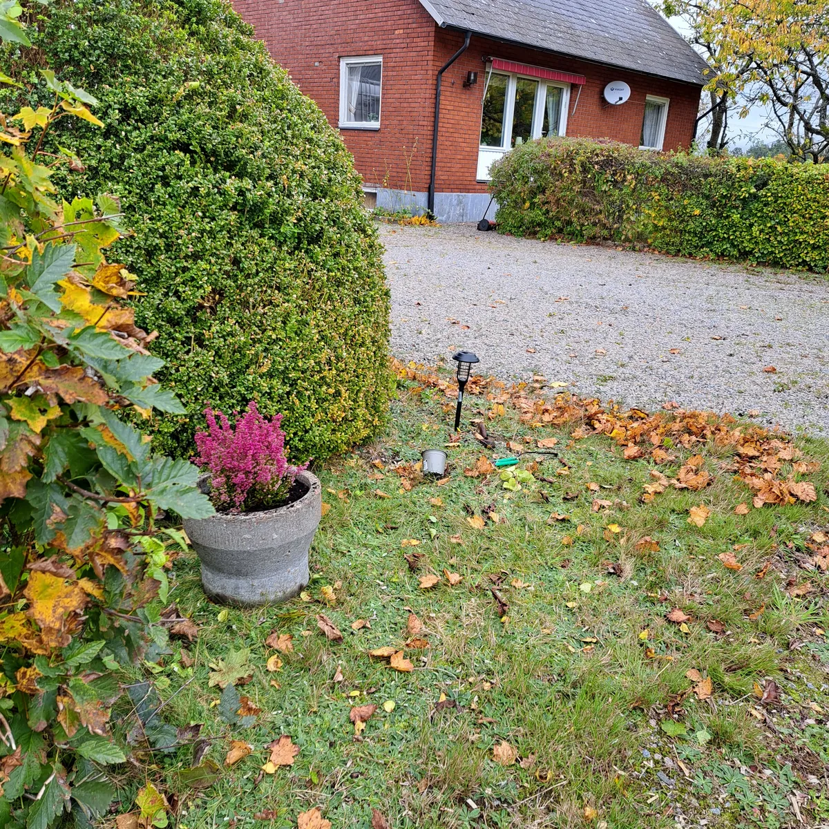 Property image 51