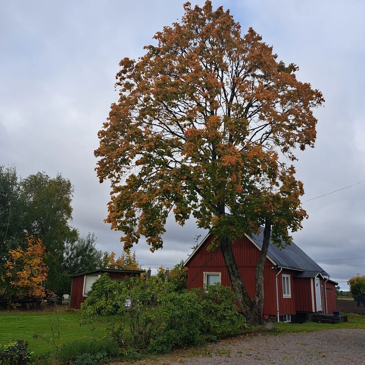 Property image 55