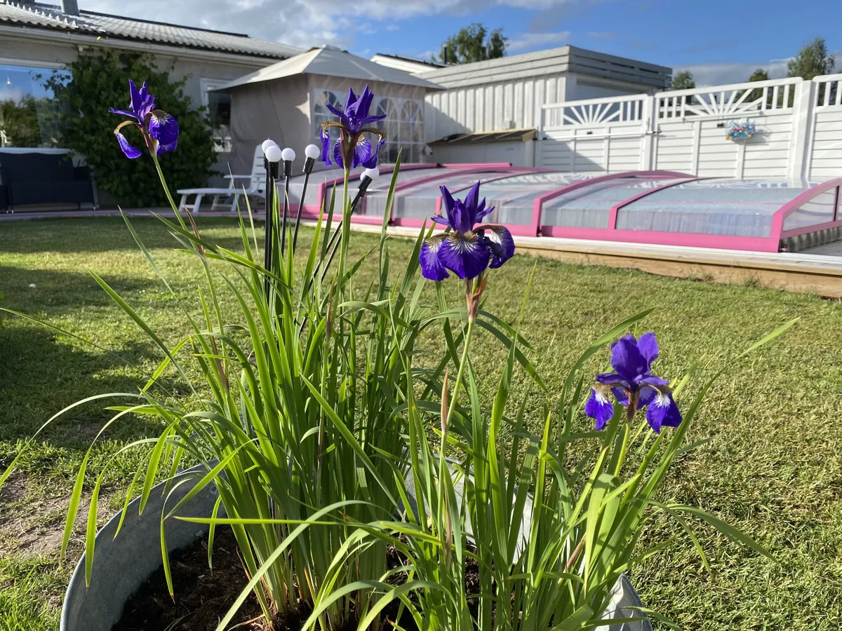 Property image 14