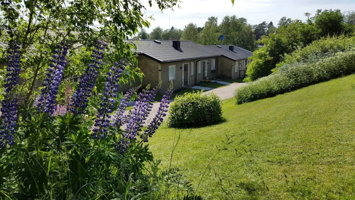 Hjortronstigen i Röshult