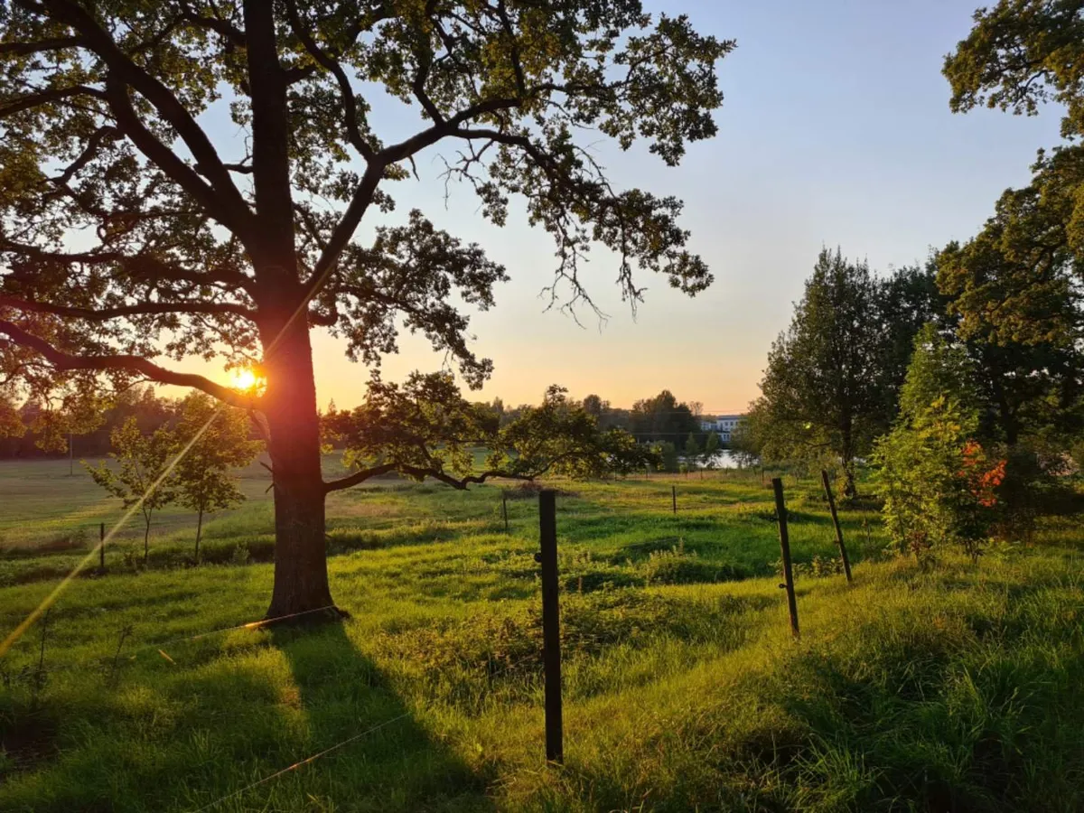 Frötuna Rättarbostaden  i Fellingsbro