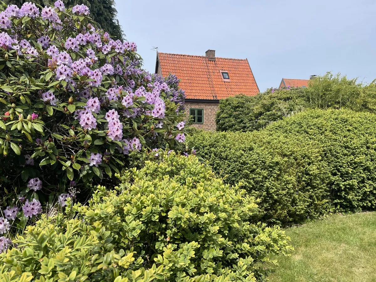 Kärvegatan i Helsingborg