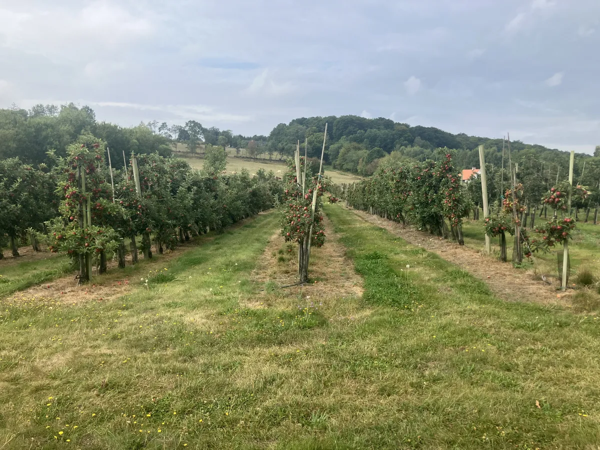 Property image 22