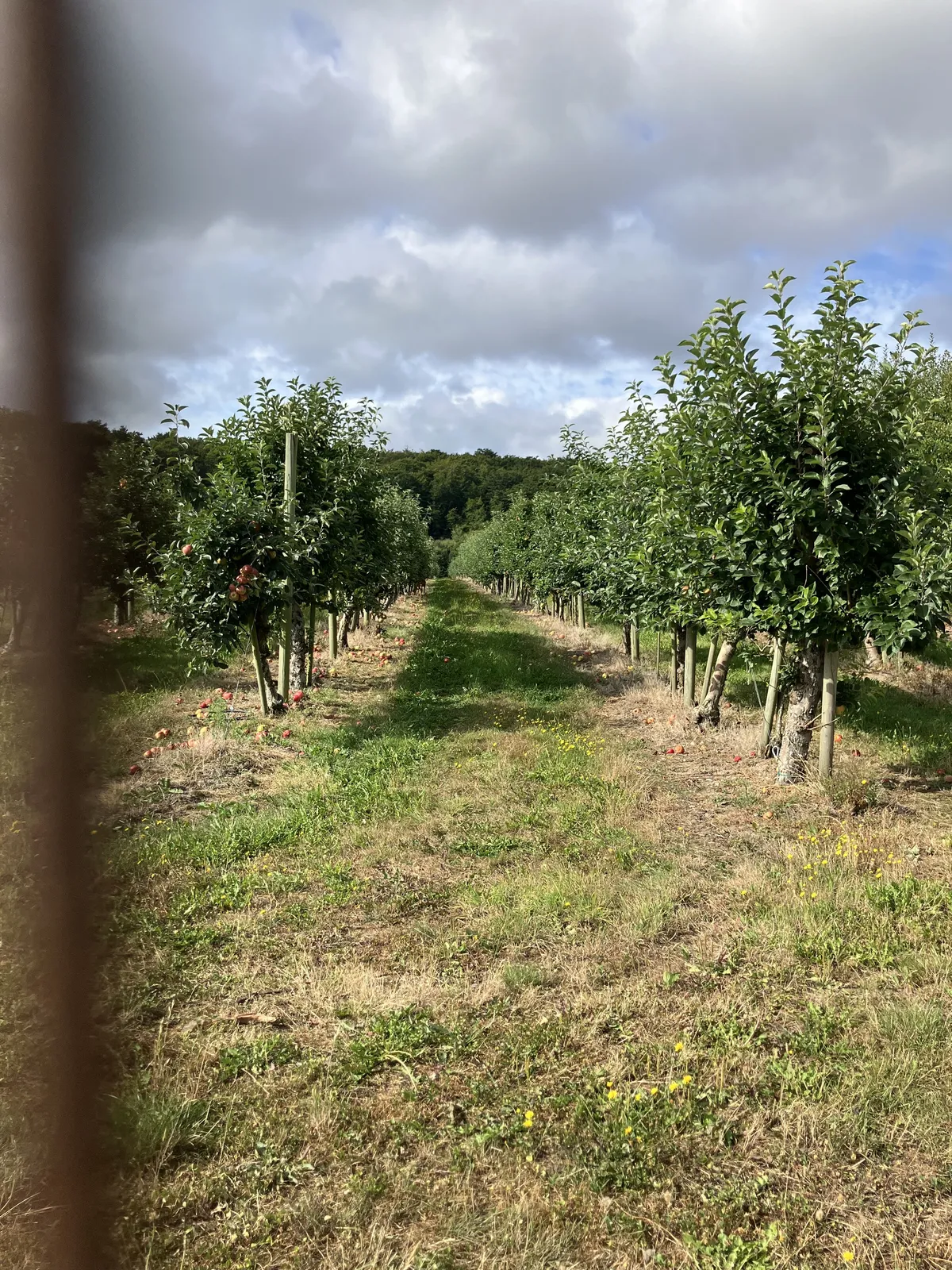 Property image 24