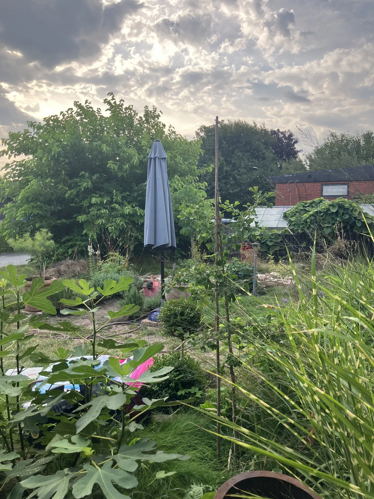 Property image 26