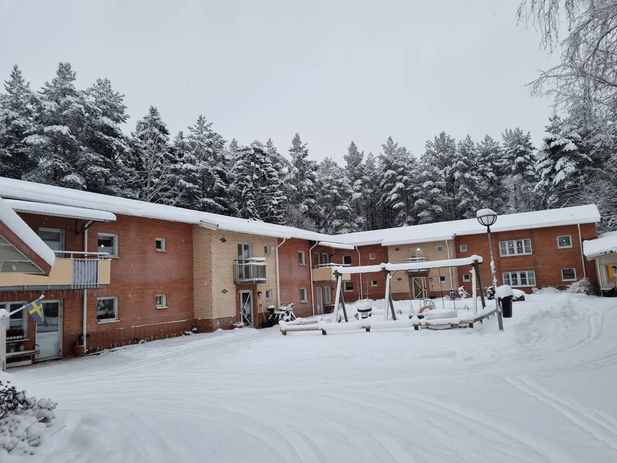Filgränd