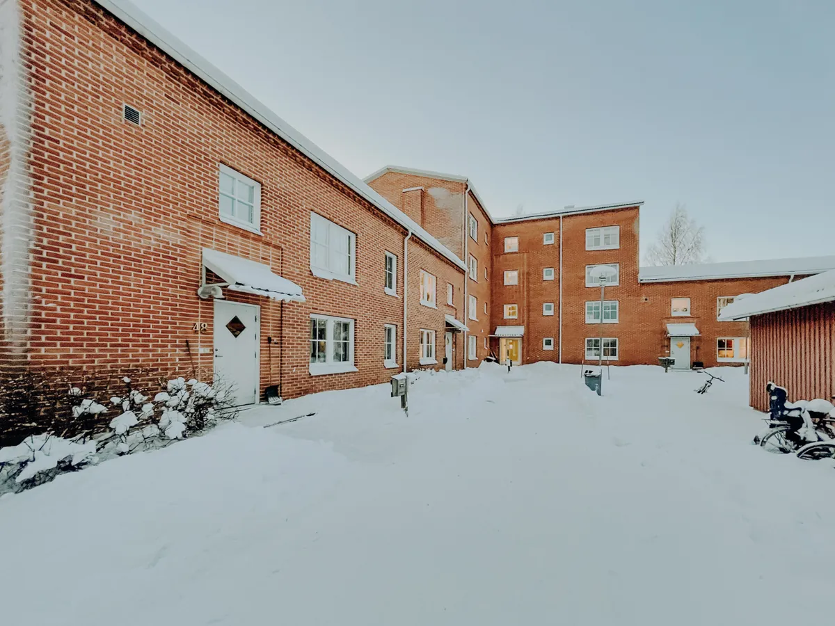 Mjölkvägen