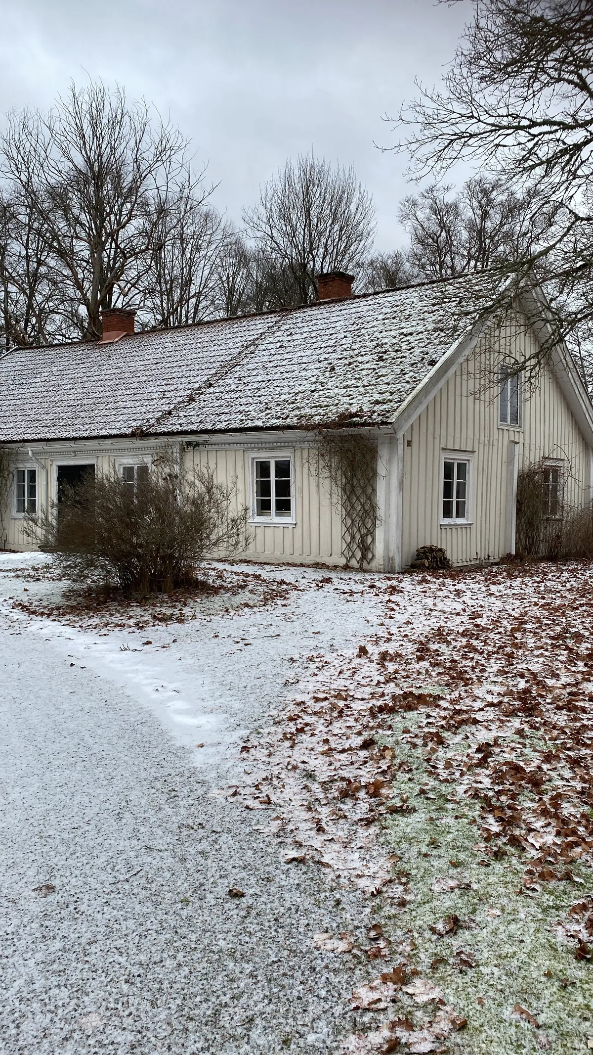 Lagmansholm  i Vårgårda