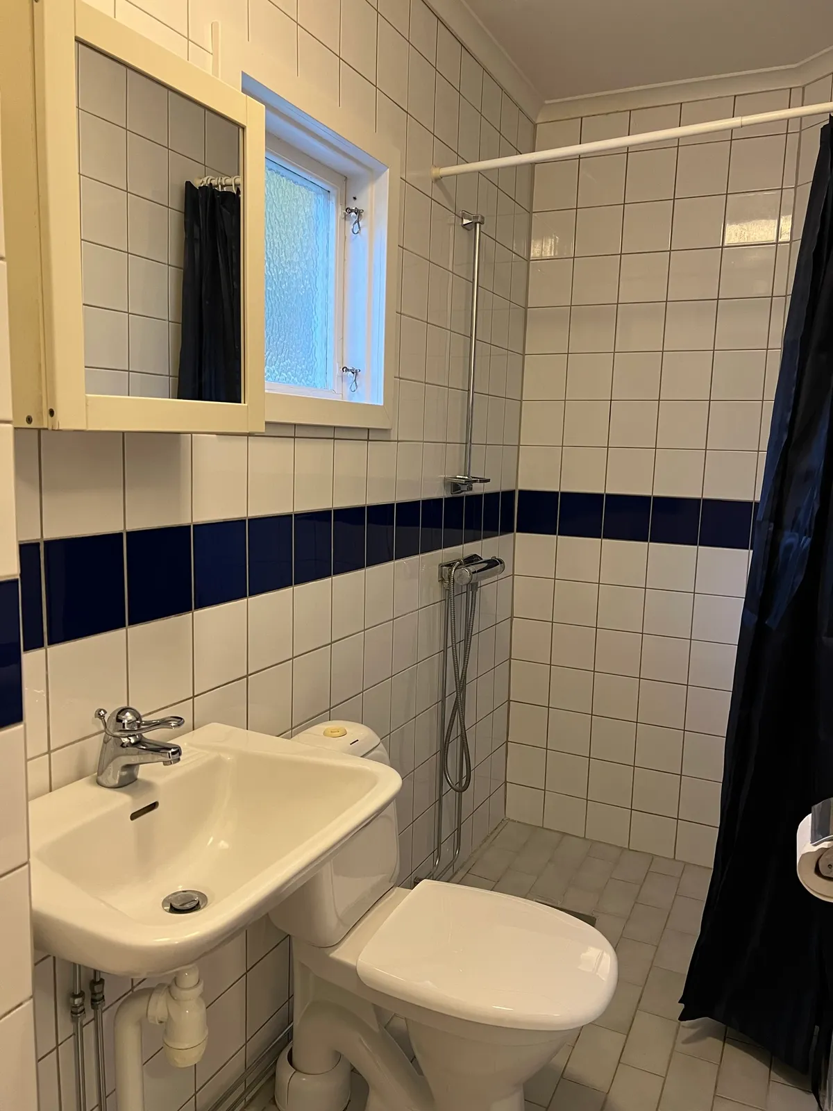 BISKOPSKULLA LANDSBERGA i Örsundsbro