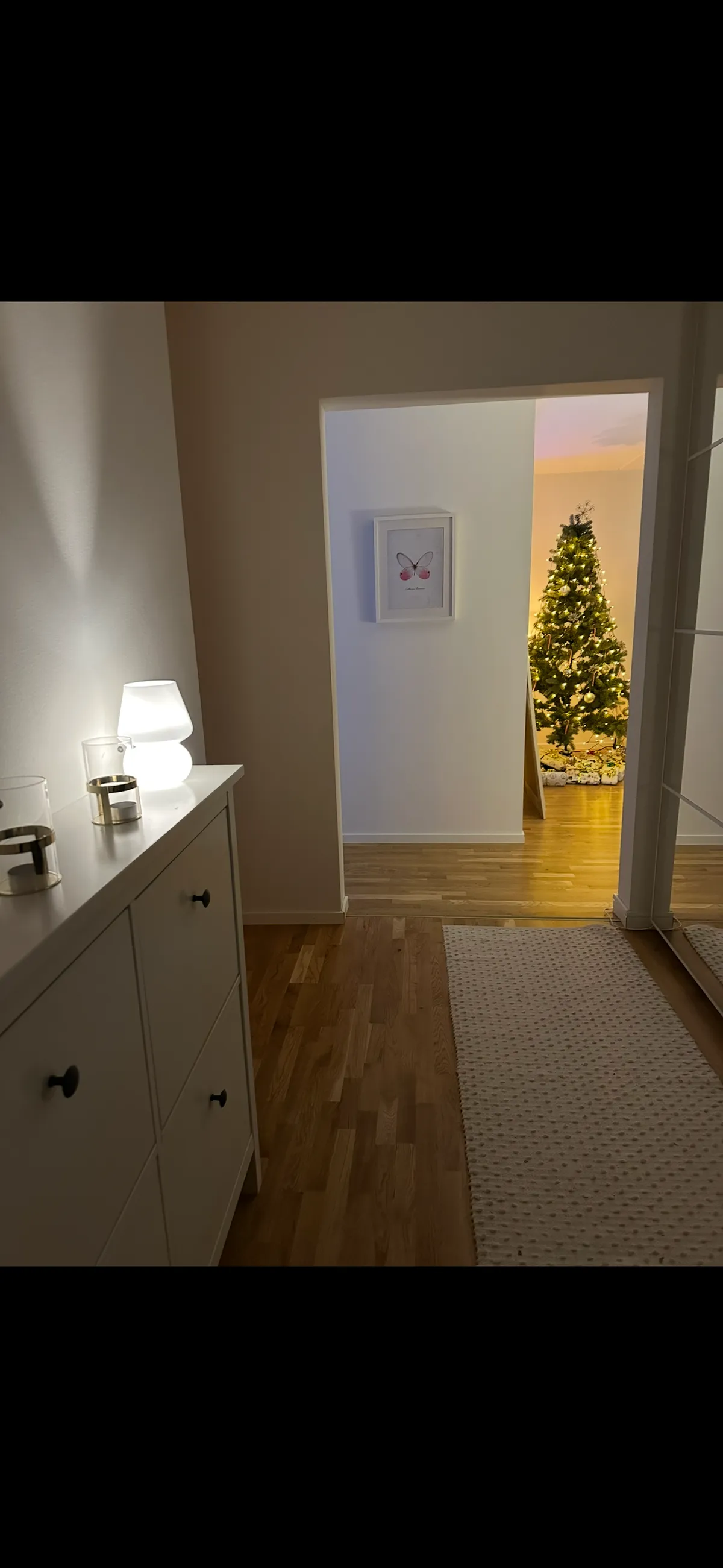 Oxens gata i Brandbergen