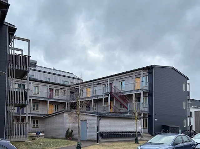 Lupingatan i Höganäs