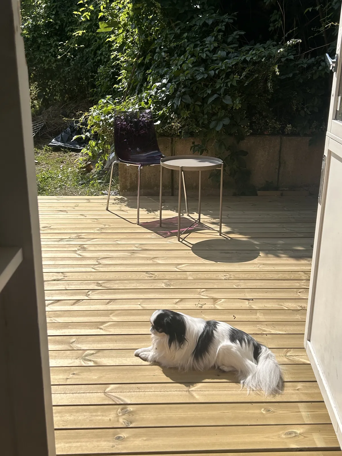 Ljuskärrsvägen i Saltsjöbaden