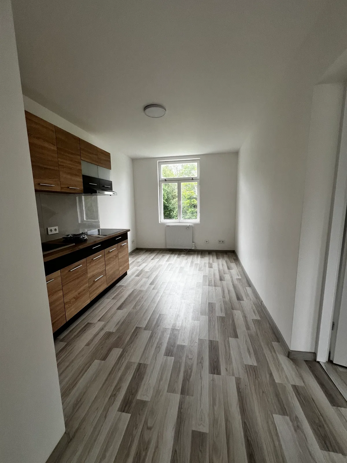 Björkallén i Grängesberg