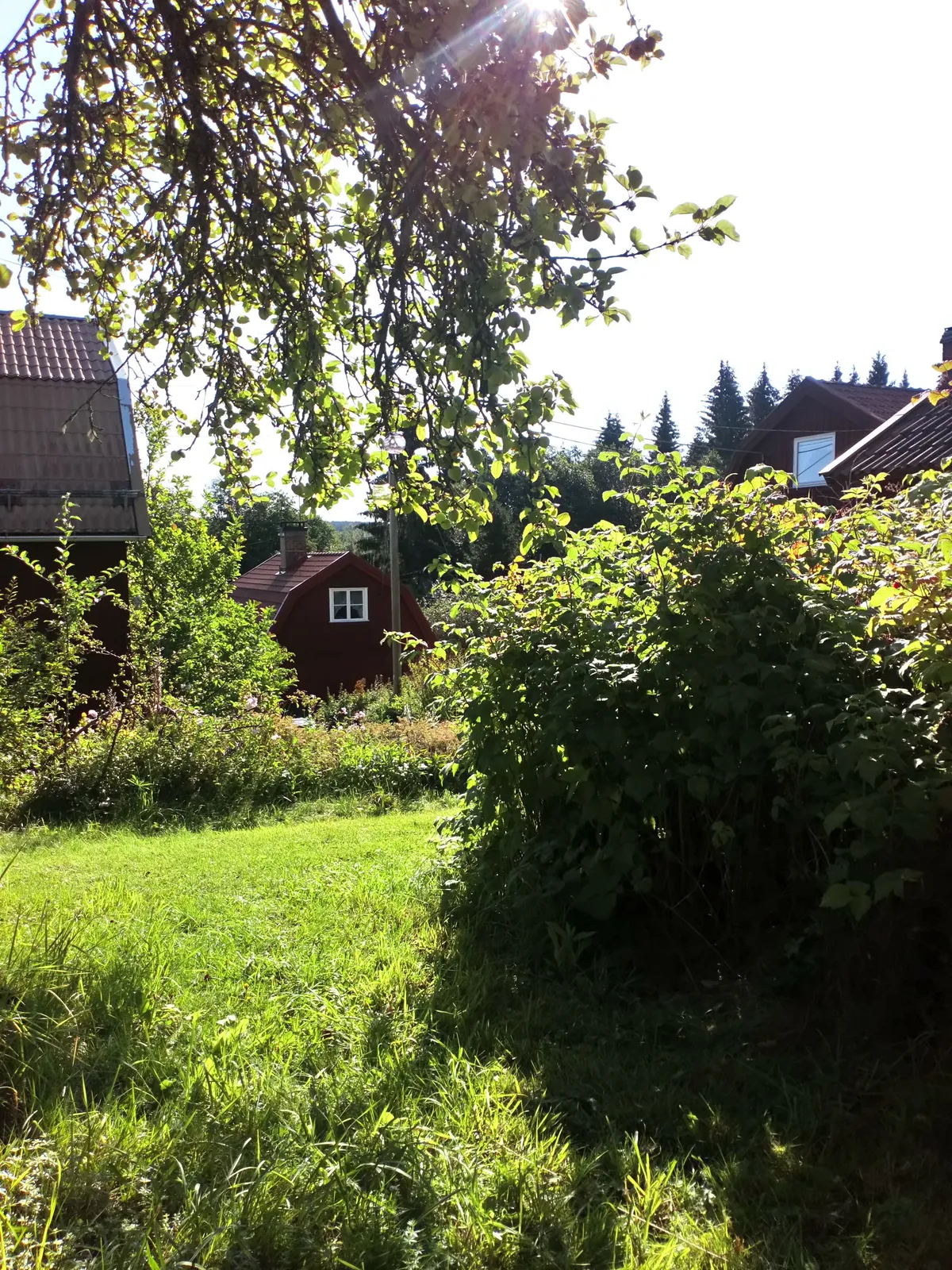 Hyttvägen i Grängesberg
