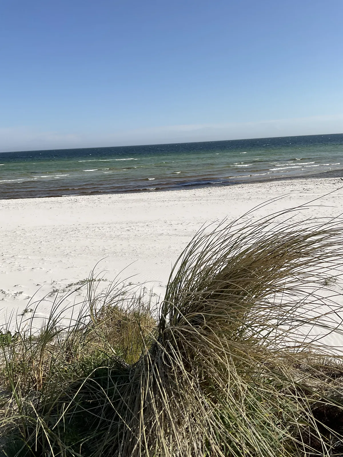 Ålavägen i Falsterbo