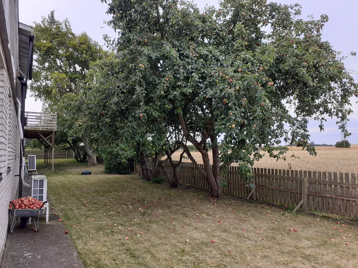 Property image 23