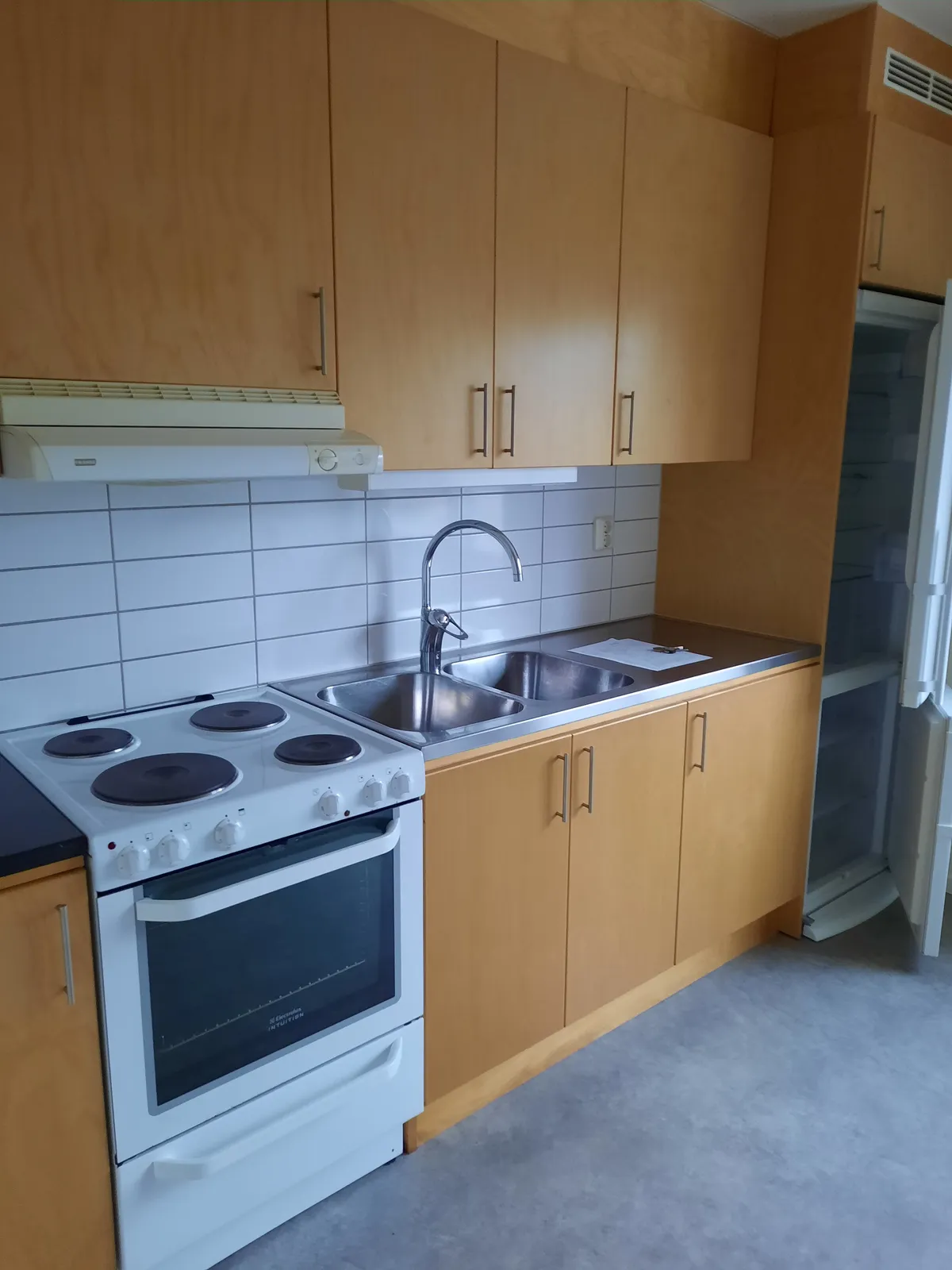 Björkvägen i Kosta