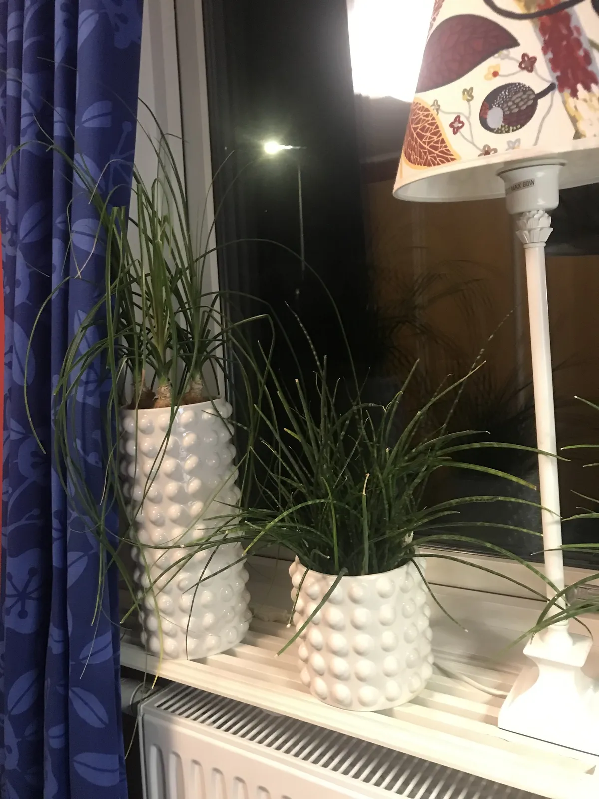 Västra Gatan i Kungälv