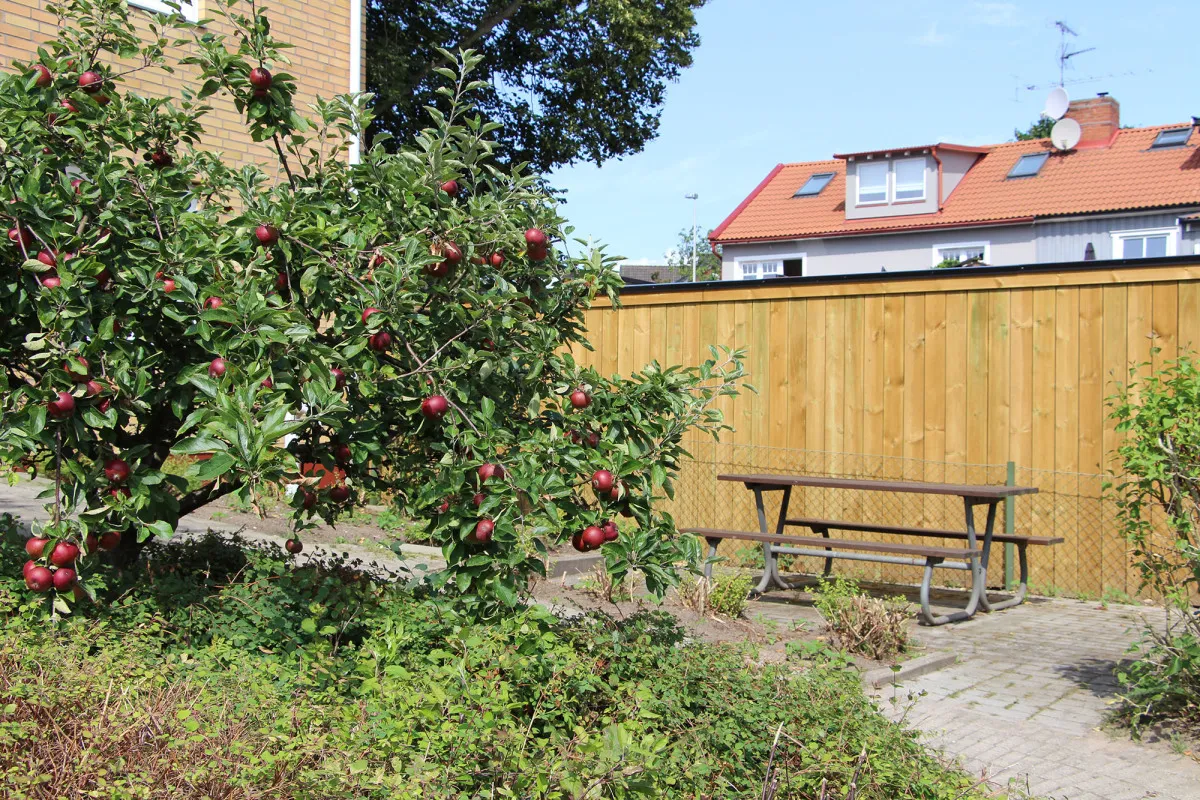 Property image 8
