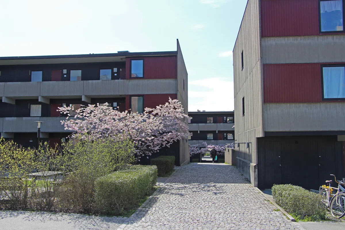 Property image 11
