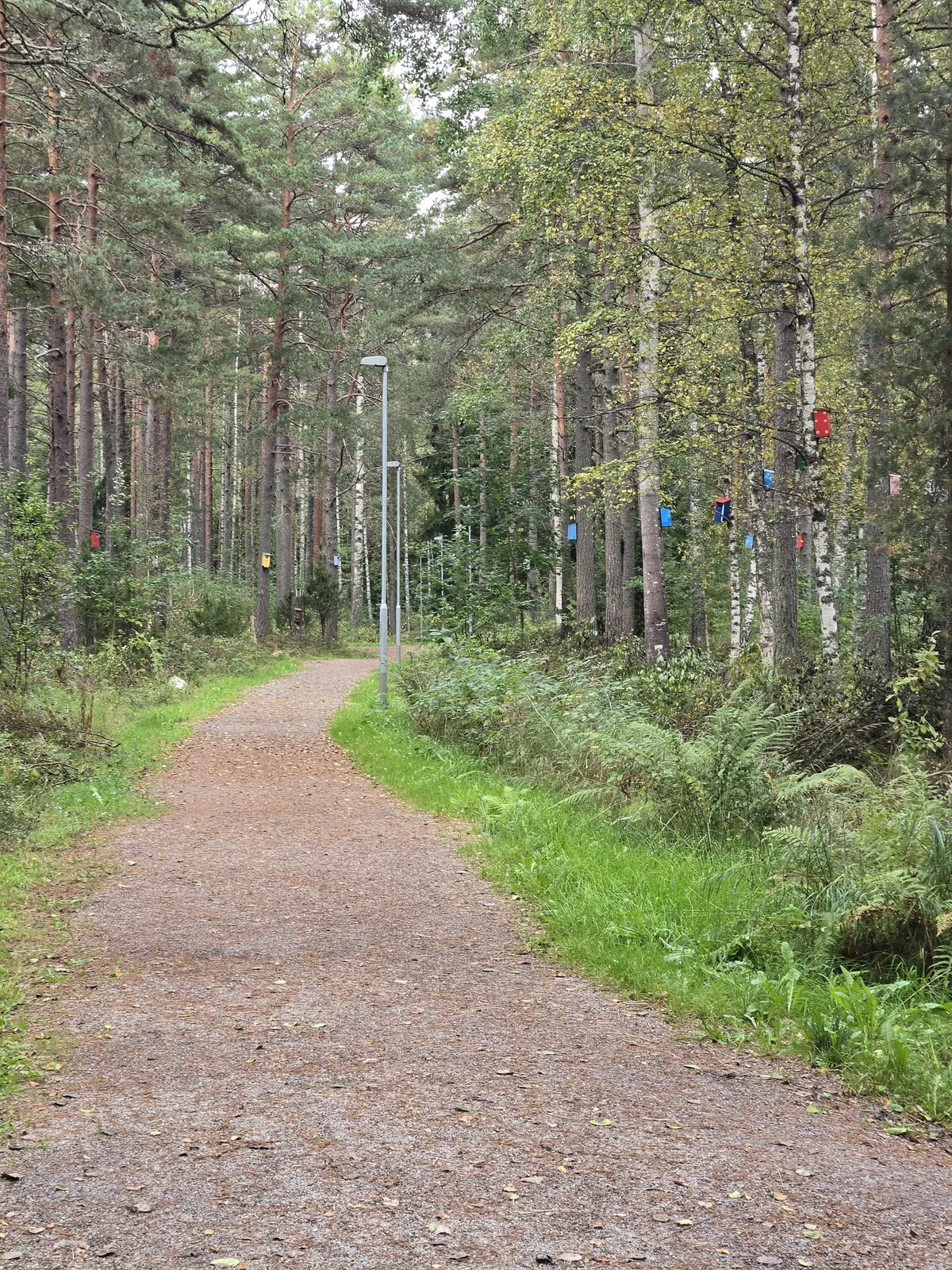 Property image 35