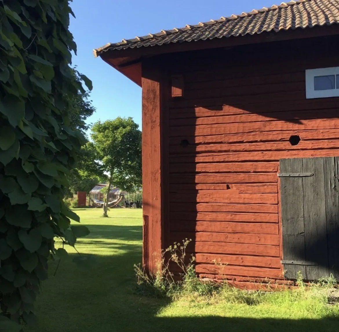 Property image 42