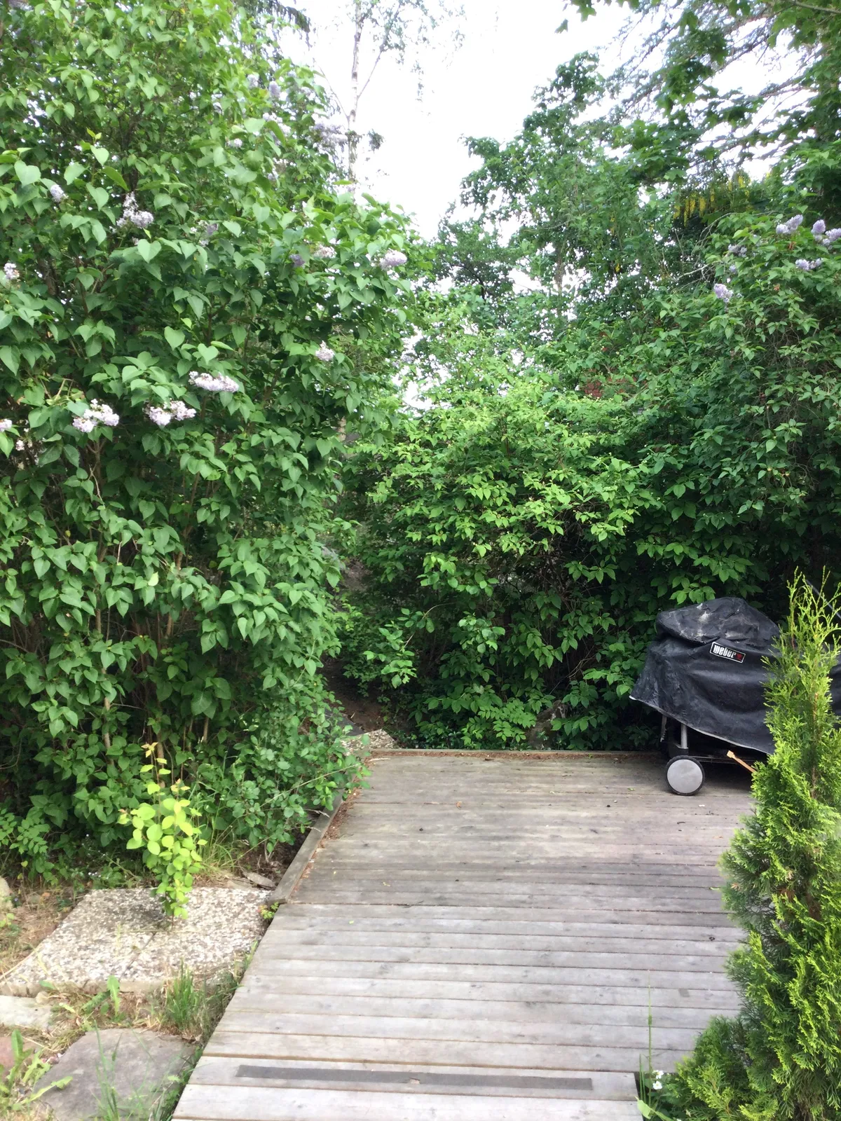 Häradsvägen i Segeltorp