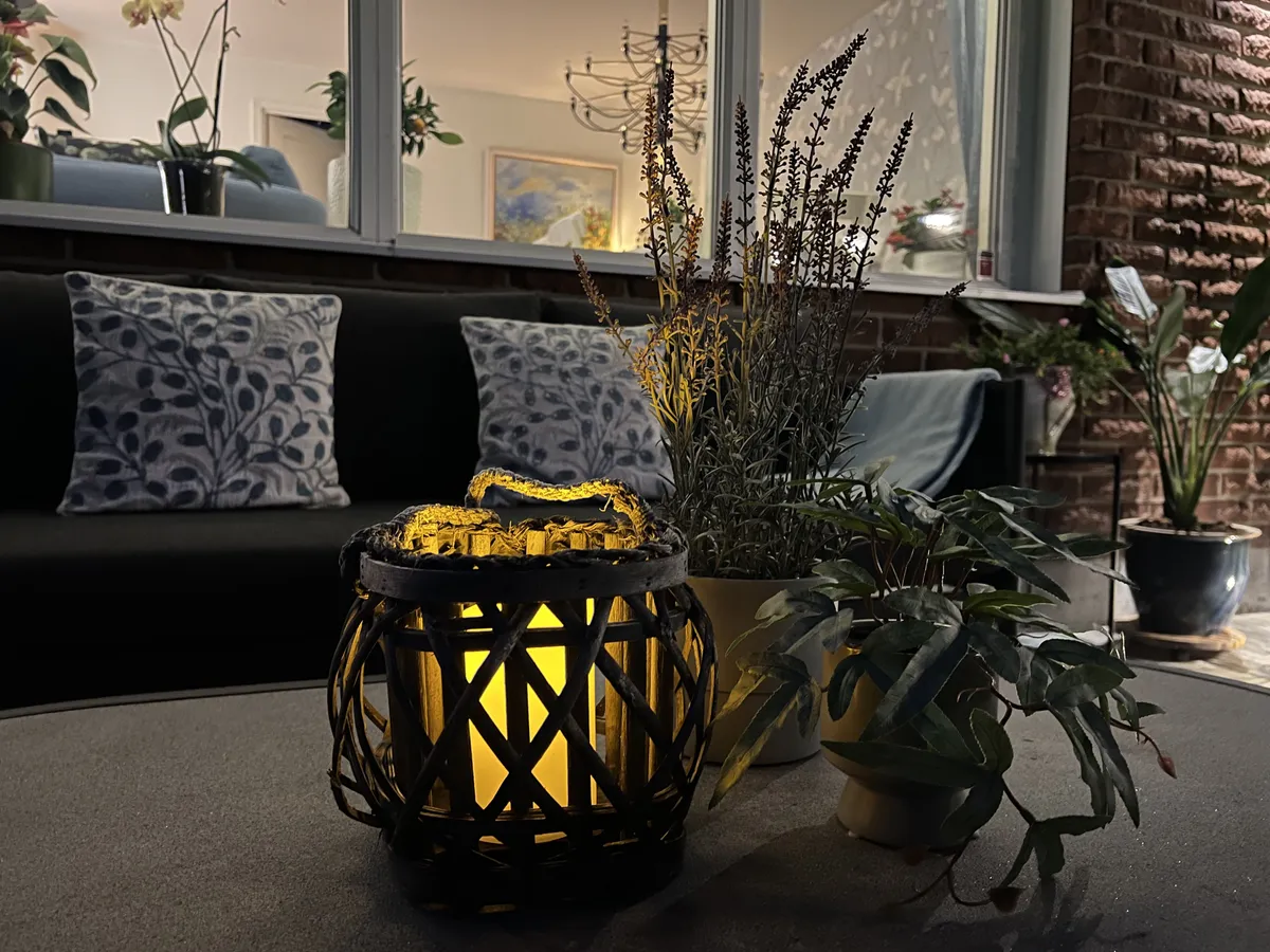 Property image 36