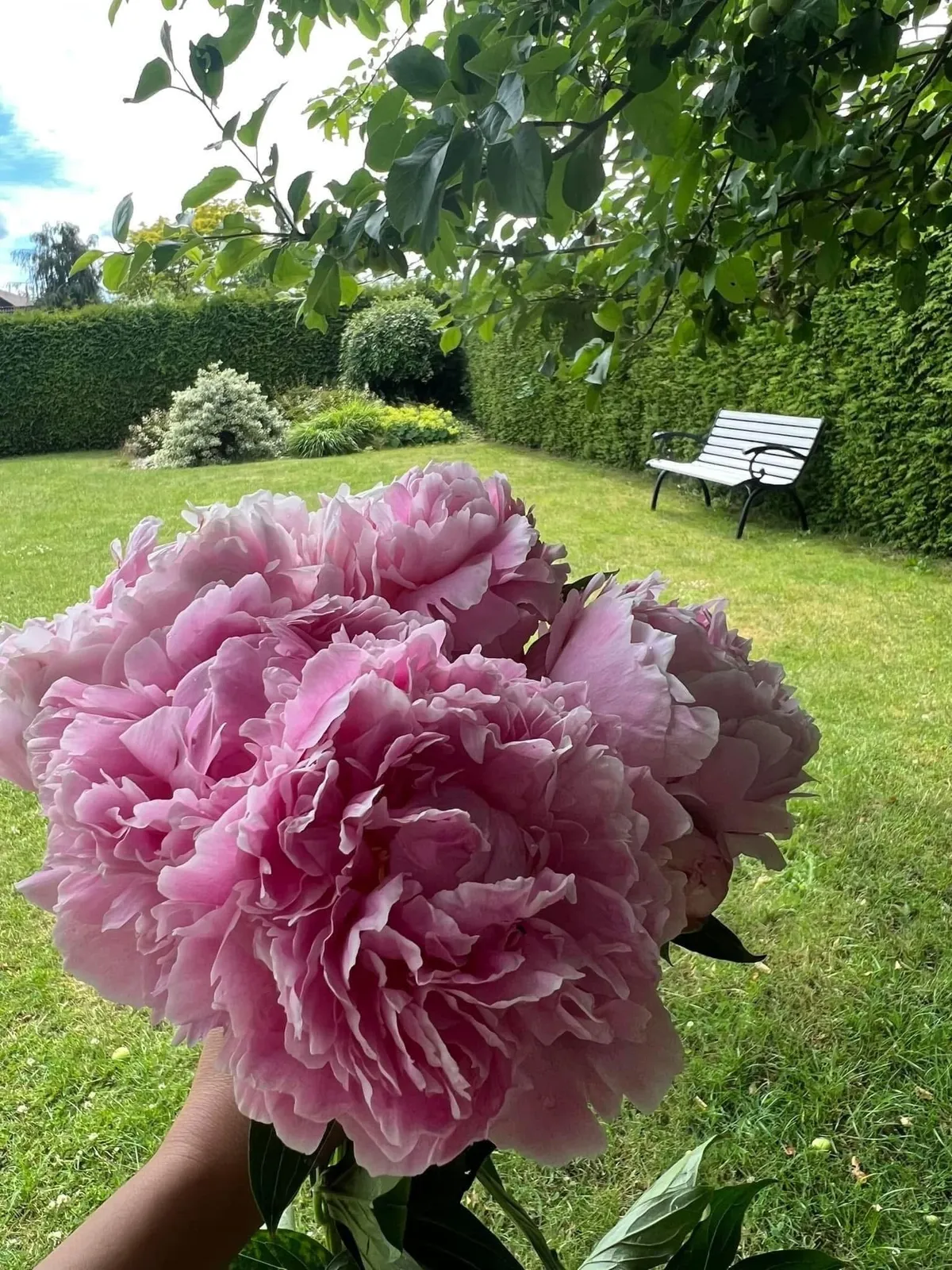 Property image 34