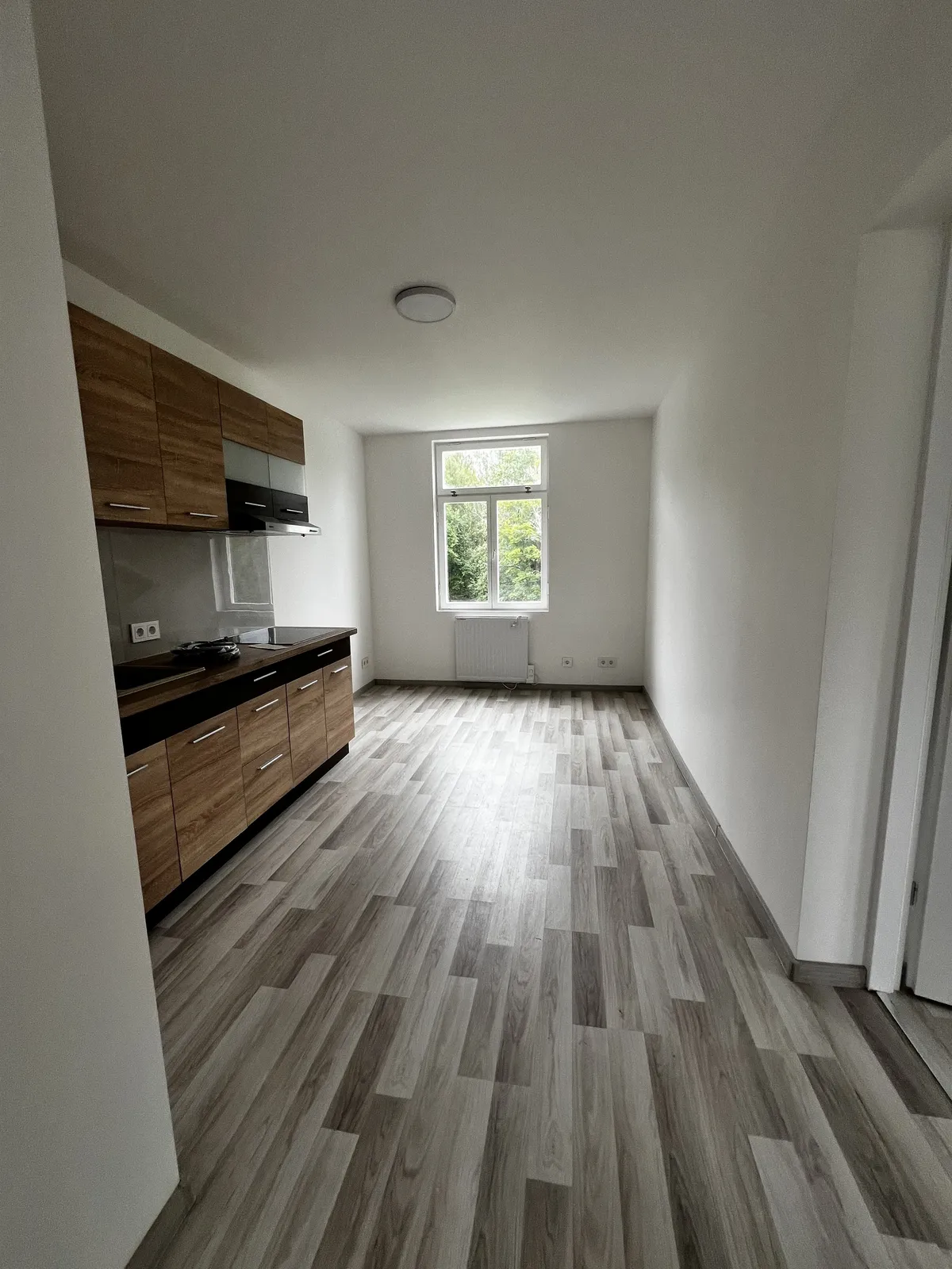 Björkallén i Grängesberg