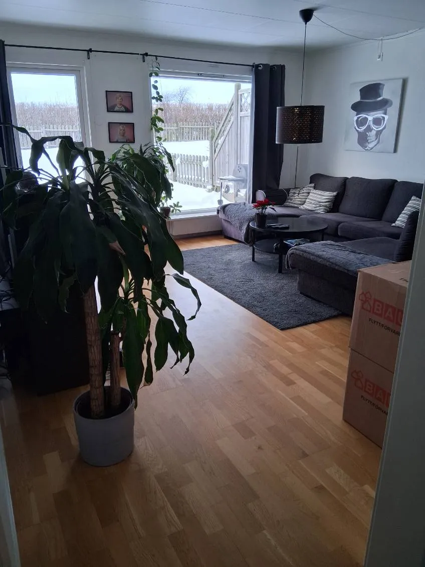 Katedervägen i Onslunda