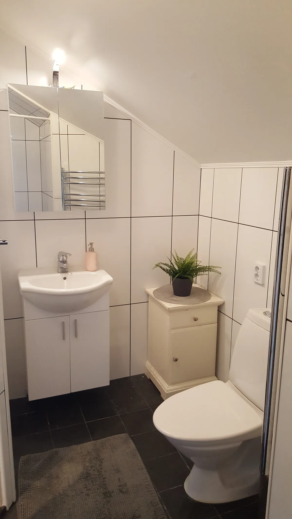 Västkustvägen  i Hasslarp