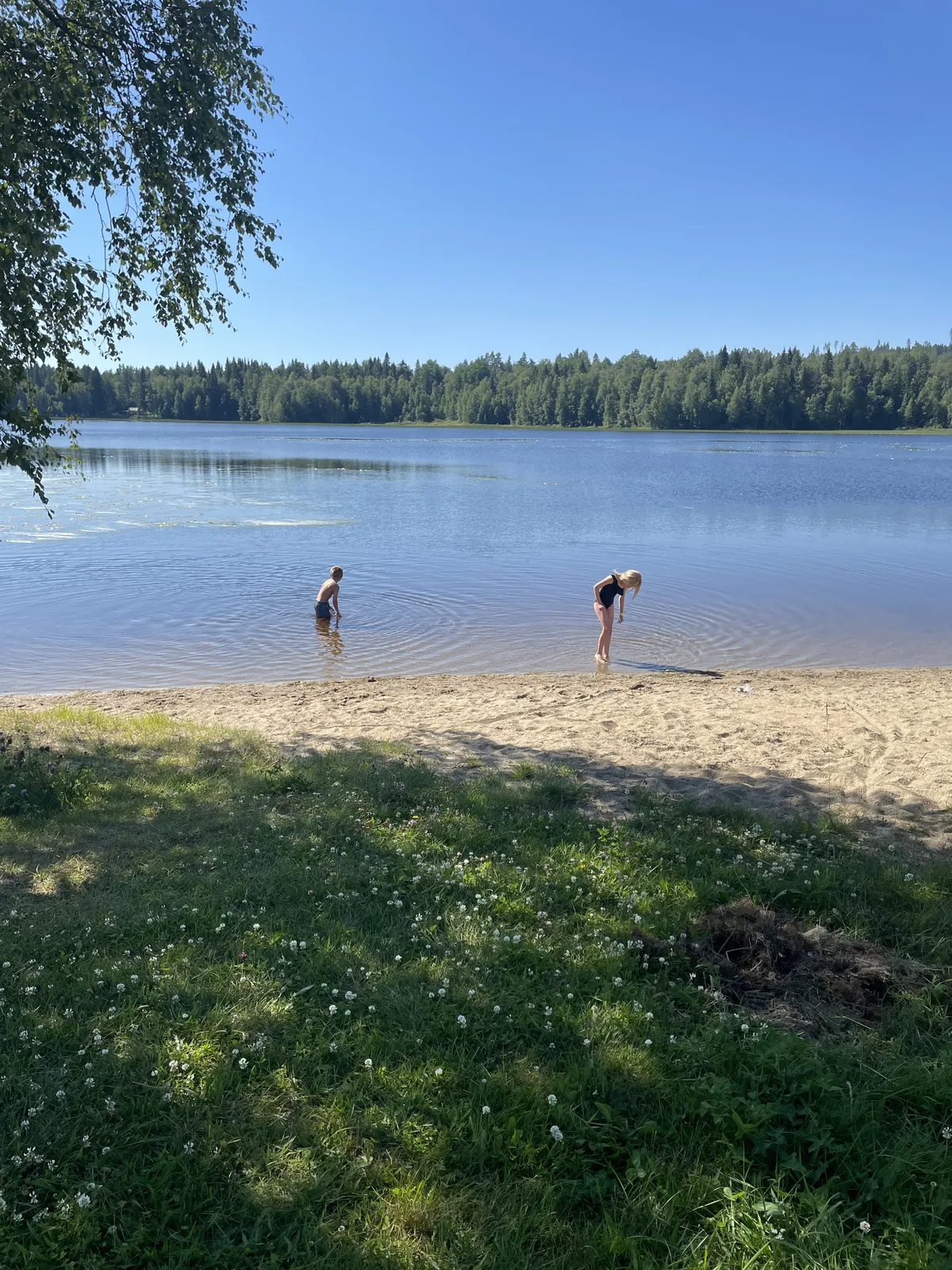 Graningebruk i Graninge