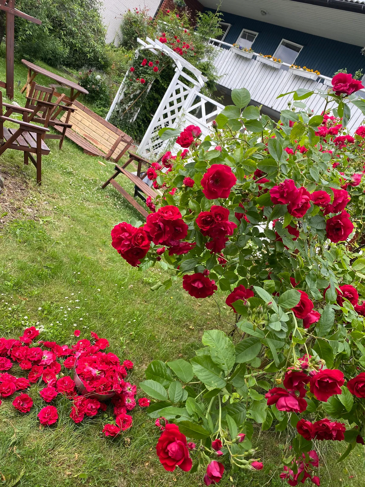Property image 23