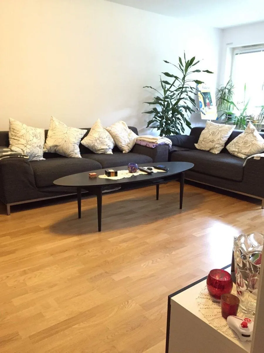 Älgvägen i Västerhaninge