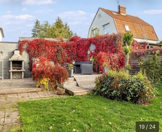 Björkbogatan i Malmö