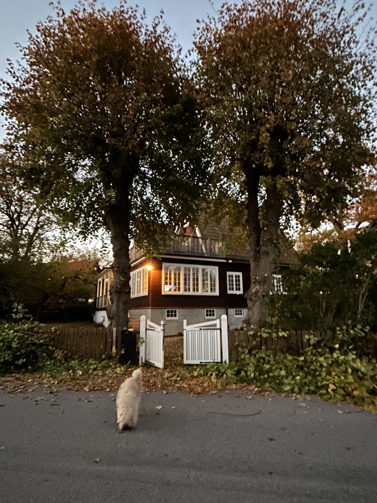 Jägarstigen i Saltsjö-duvnäs