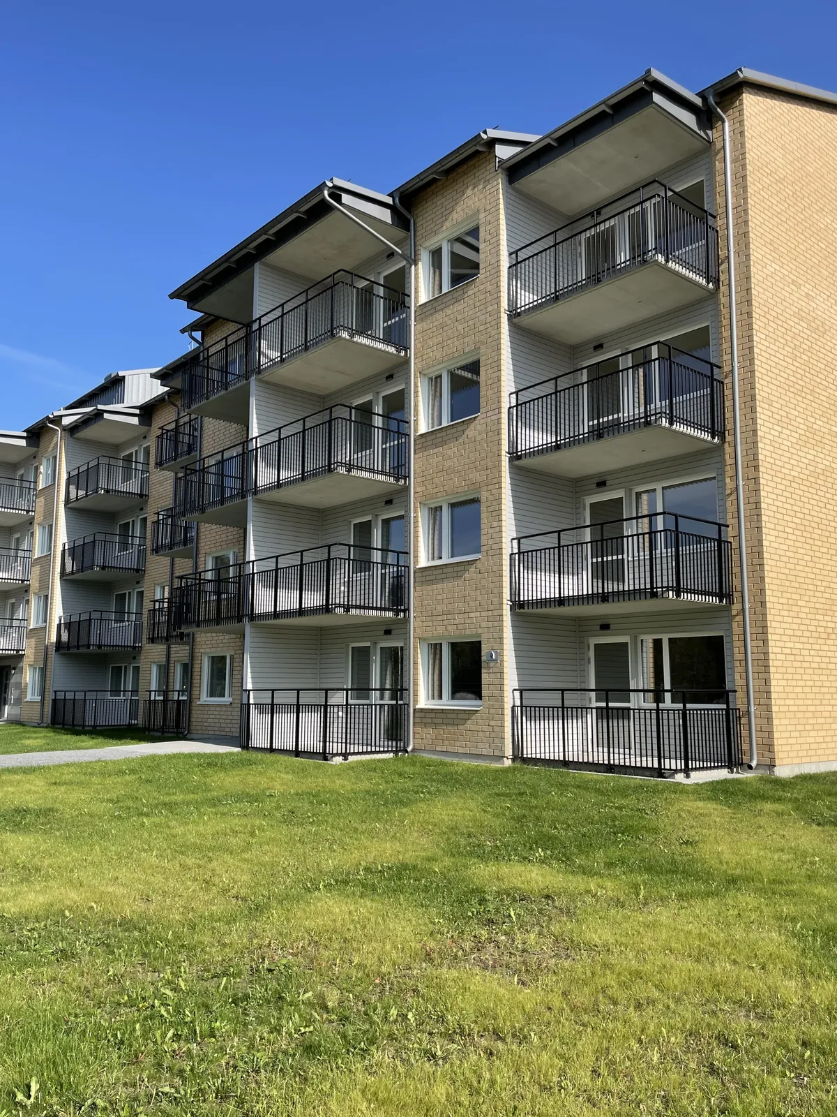 Björkhammargatan i Skelleftehamn