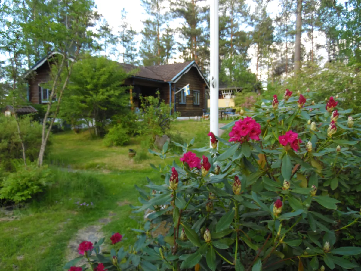 Property image 11