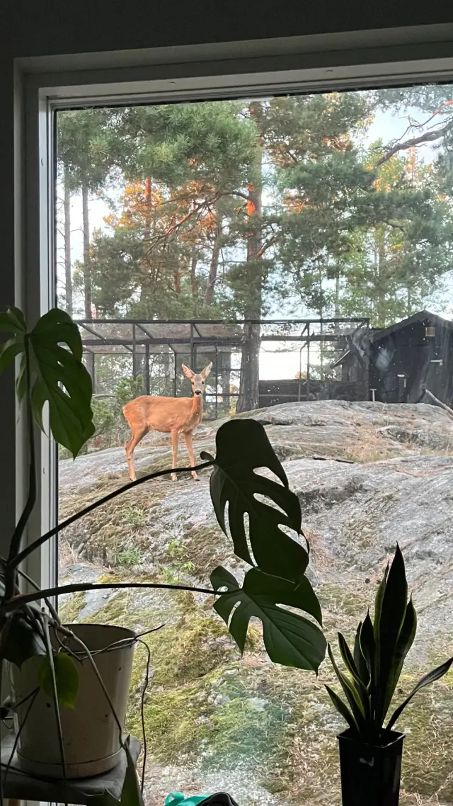 Hyresbostad på Värmdö i varmdo