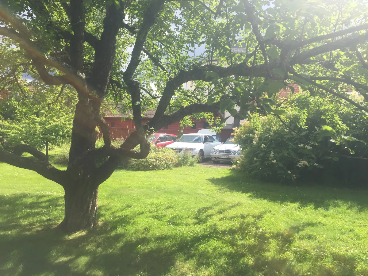 Property image 16