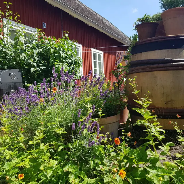 Hyresbostad på Södergatan i Lövestad