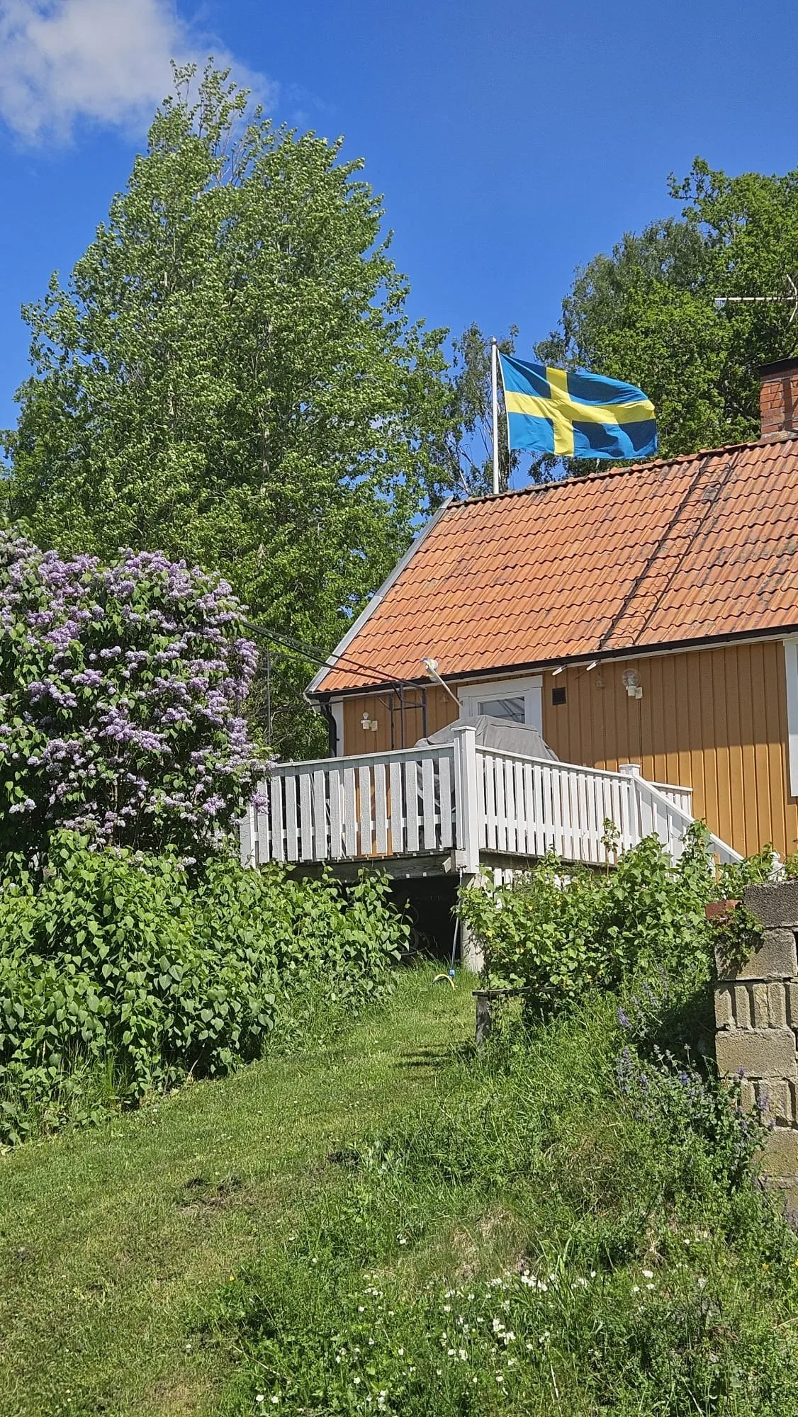 Property image 39